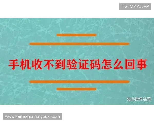 凯发账号注册流程中遇到验证码无法接收的解决办法